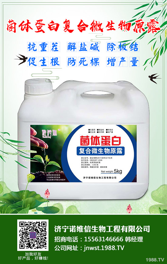 大豆施用硼肥有哪些好處？大豆施用硼肥的技術！