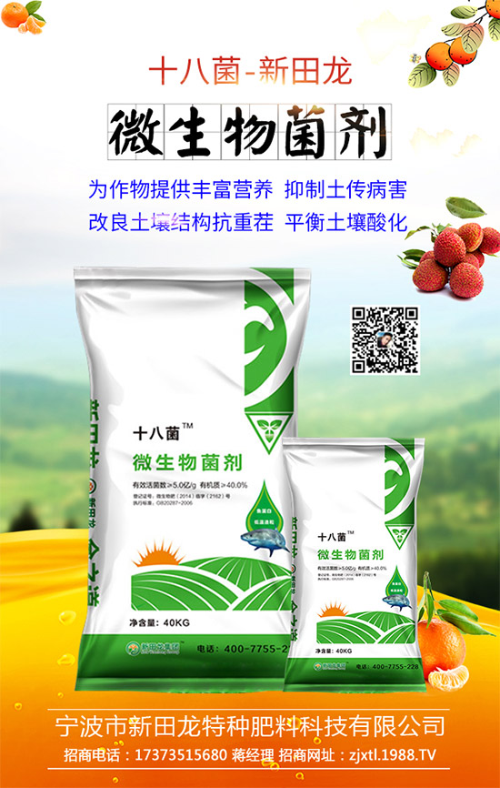 �����P(gu��n)ϵ�����A���������m(x��)�s1988.TV�����\�����°l(f��)չ��