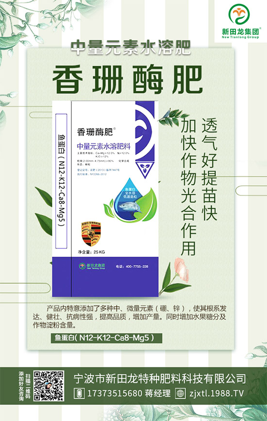 �����P(gu��n)ϵ�����A���������m(x��)�s1988.TV�����\�����°l(f��)չ��