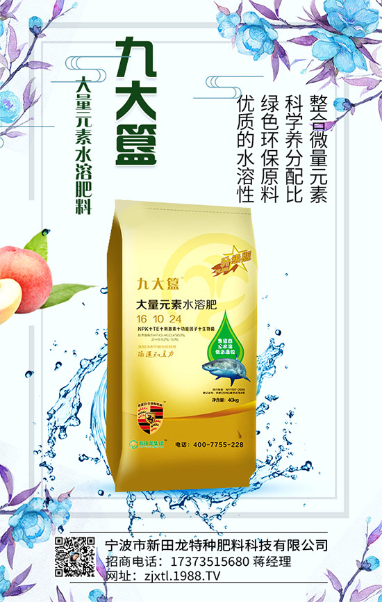 �����P(gu��n)ϵ�����A���������m(x��)�s1988.TV�����\�����°l(f��)չ��