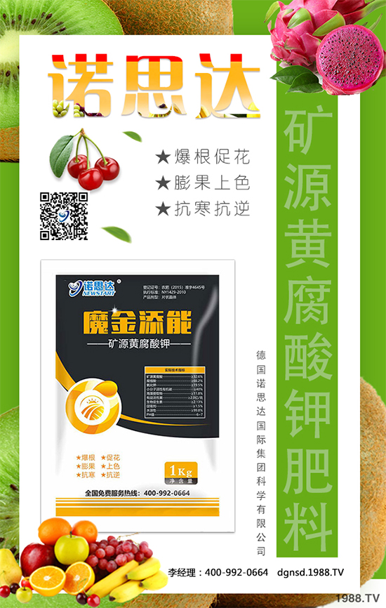 ��(zh��n)�Ժ���������(j��)����(gu��)�Z˼�_(d��)�ٴκ��s1988.TV��