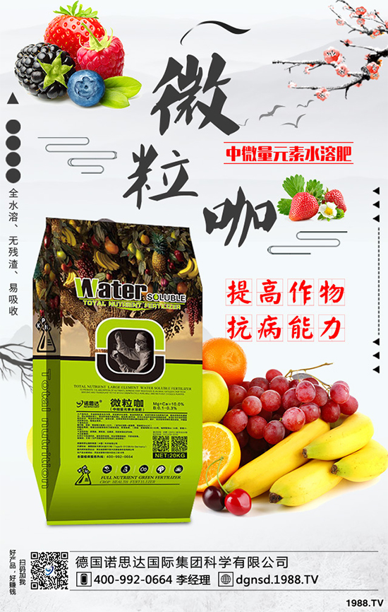 ��(zh��n)�Ժ���������(j��)����(gu��)�Z˼�_(d��)�ٴκ��s1988.TV��