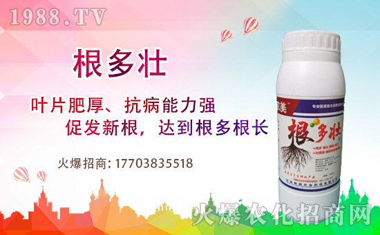 1988.TVϲӭ�������������³��_���W(w��ng)�j(lu��)������������