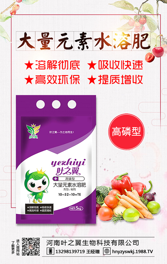 薄荷生長習性有哪些?薄荷的田間管理要點!