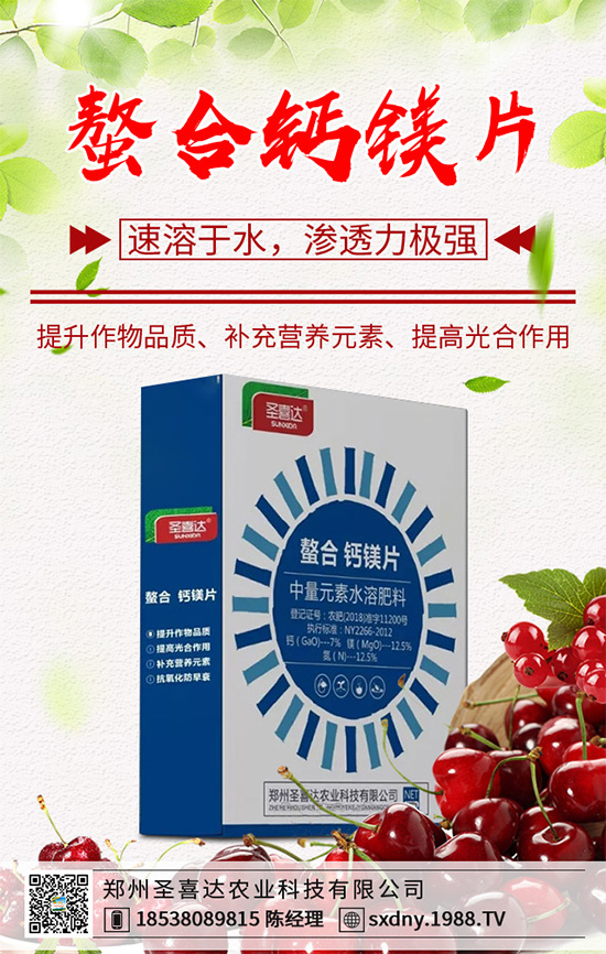 油麥菜該如何育苗？油麥菜的高產(chǎn)栽培管理技術(shù)