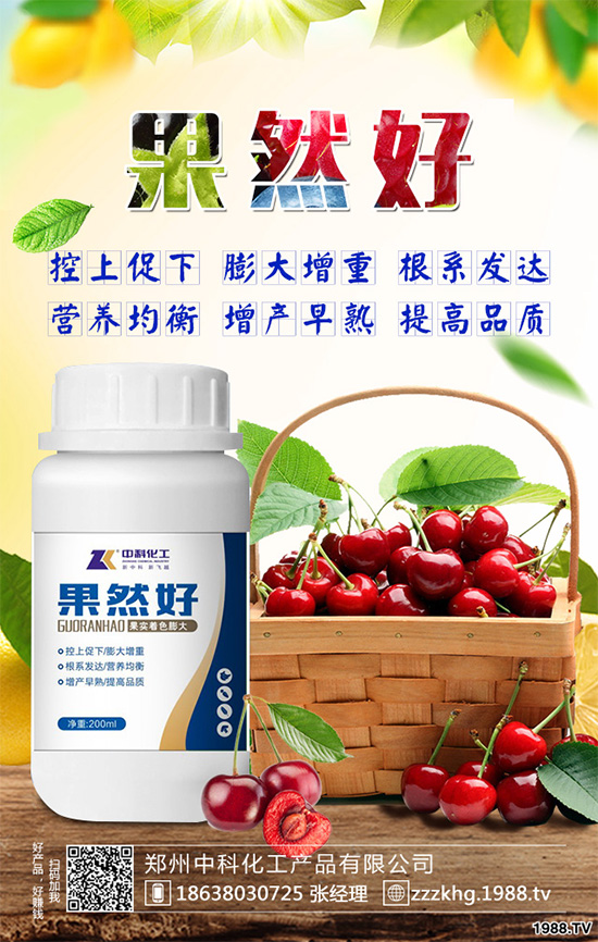 油麥菜有哪些營養(yǎng)價值？常吃油麥菜那些神奇效果？一起看看吧！