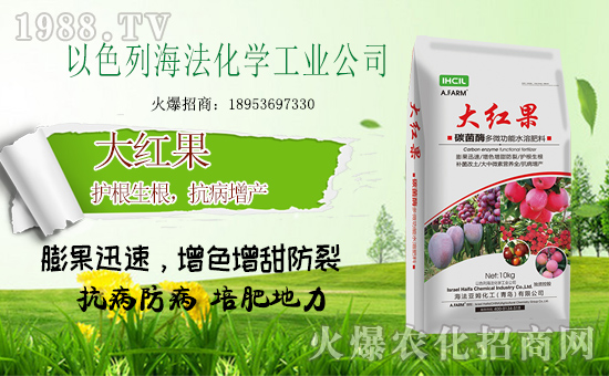 ��ɫ�к����ٺ����r(n��ng)���W(w��ng)����ȭ�����r(n��ng)�Y�W(w��ng)�j(lu��)�Ј�(ch��ng)��