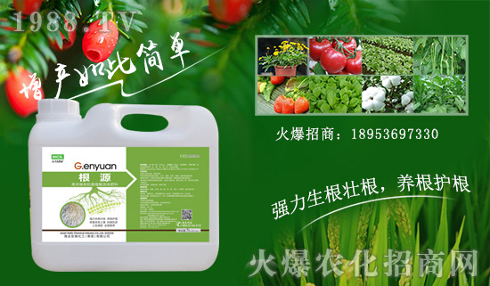 ��ɫ�к����ٺ����r(n��ng)���W(w��ng)����ȭ�����r(n��ng)�Y�W(w��ng)�j(lu��)�Ј�(ch��ng)��