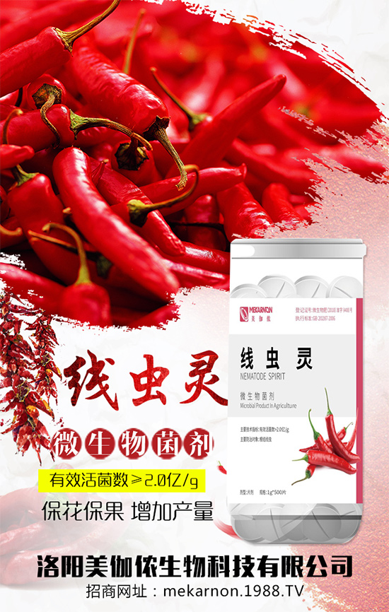 ��(zh��n)�Ժ���������(j��)����٤�z�����ٺ��r(n��ng)���W(w��ng)���A2020��