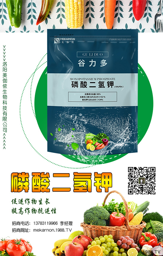 ��(zh��n)�Ժ���������(j��)����٤�z�����ٺ��r(n��ng)���W(w��ng)���A2020��