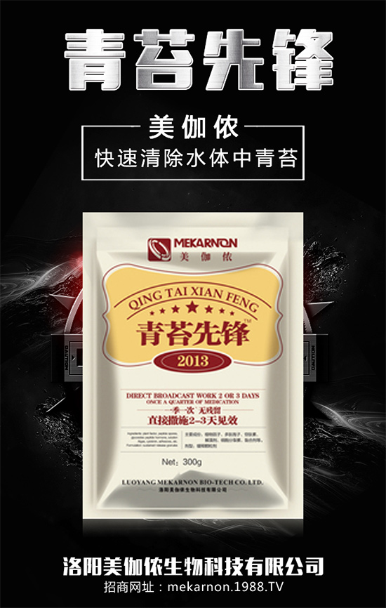 ��(zh��n)�Ժ���������(j��)����٤�z�����ٺ��r(n��ng)���W(w��ng)���A2020��