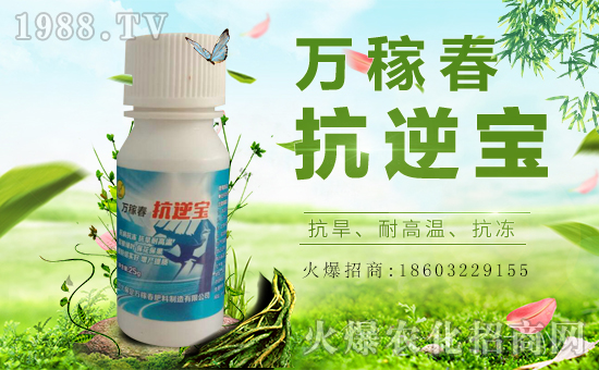 �������f�ڴ��������v���r(n��ng)�����̾W(w��ng)�����F(xi��n)��I(y��)�°l(f��)չ��