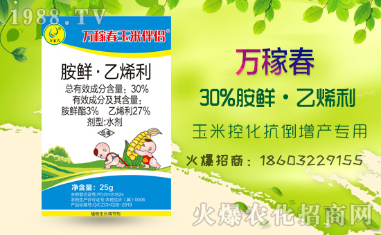 �������f�ڴ��������v���r(n��ng)�����̾W(w��ng)�����F(xi��n)��I(y��)�°l(f��)չ��