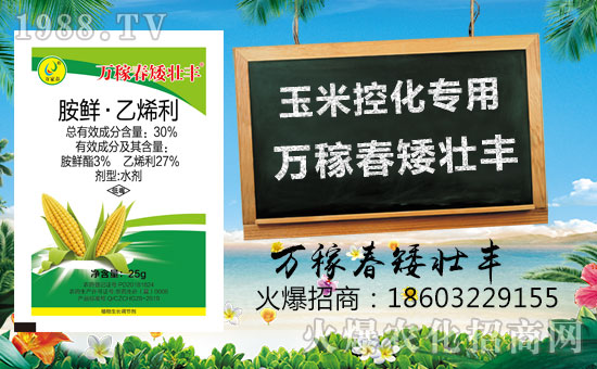 �������f�ڴ��������v���r(n��ng)�����̾W(w��ng)�����F(xi��n)��I(y��)�°l(f��)չ��