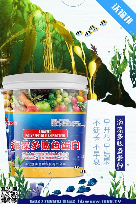 茄子種植需要注意哪些問題,茄子的水肥管理要點(diǎn)!