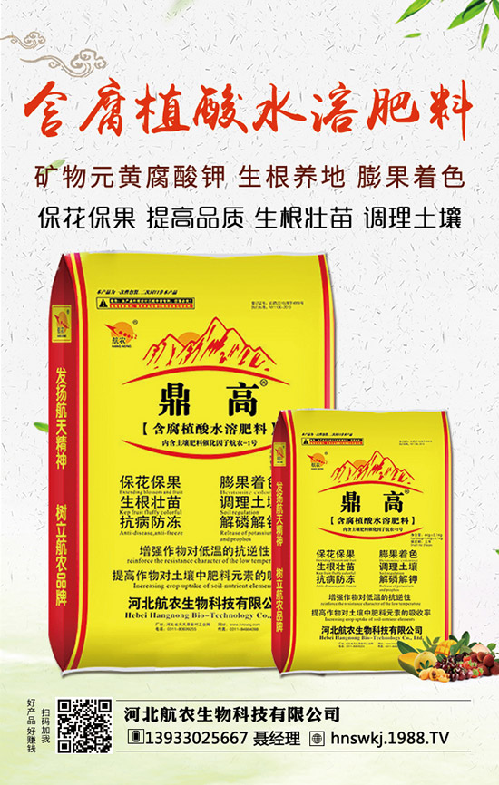 西瓜枯萎病如何防治？西瓜枯萎病和青枯病的區(qū)分！