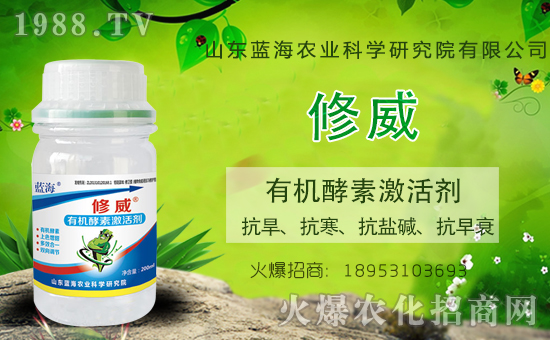 ɽ�|�{���������v���r(n��ng)�����̾W(w��ng)�����_�N����������