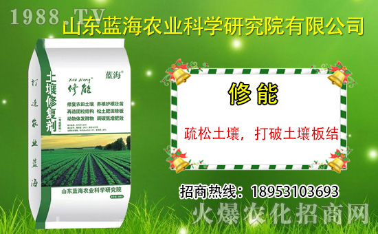 ɽ�|�{���������v���r(n��ng)�����̾W(w��ng)�����_�N����������