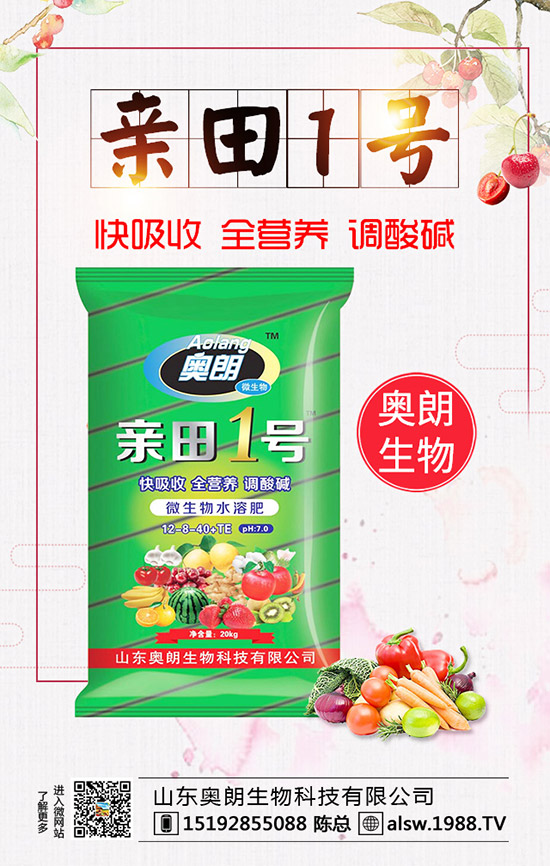  蘆筍種子處理及育苗技術(shù)，蘆筍定植后要如何管理？