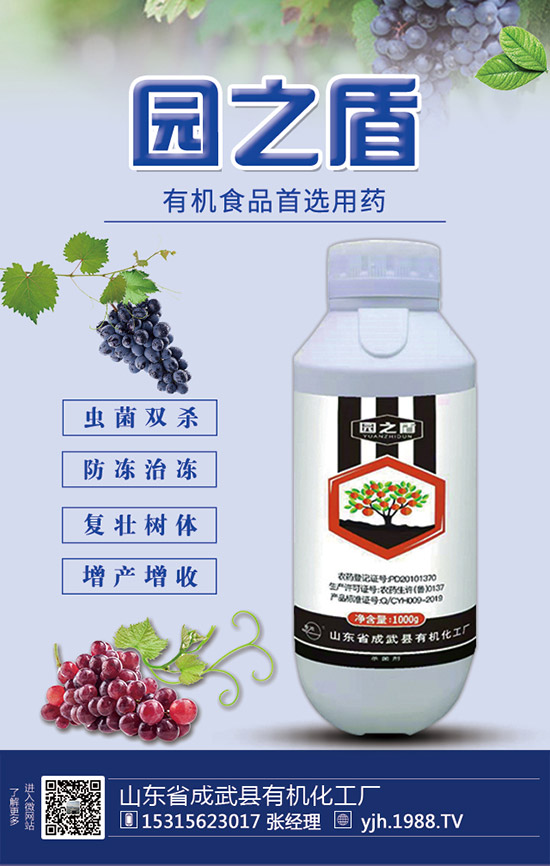 蘆筍如何施肥？蘆筍用什么肥料好？蘆筍需肥特點(diǎn)及注意事項(xiàng)！