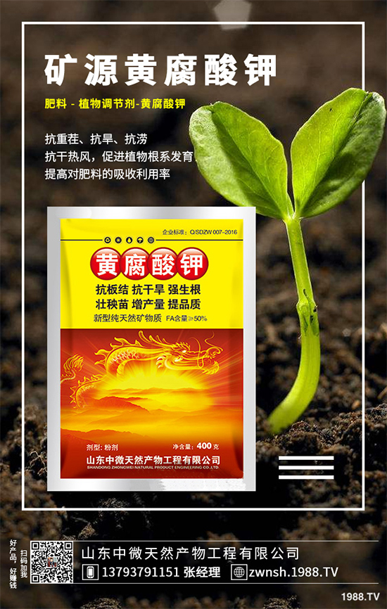 吳茱萸該如何繁殖？吳茱萸的繁殖技術(shù)栽培管理