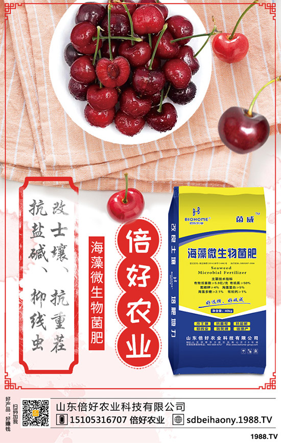     2020年4月26日國際鉀肥價格震蕩走低！最新鉀肥行情分析！