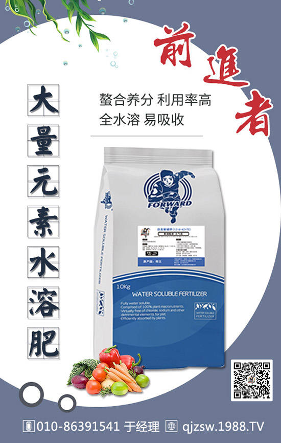 柑橘肥害有哪些癥狀，如何預(yù)防補(bǔ)救柑橘肥害司