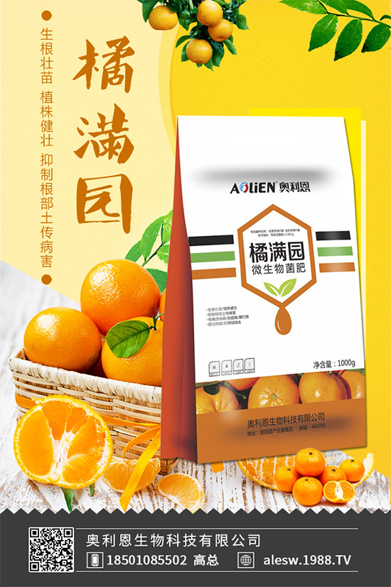 怎么區(qū)別大茴香和小茴香？茴香種植注意事項(xiàng)！