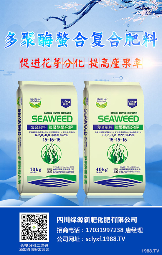 向日葵什么時候播種？該如何管理？高產(chǎn)向日葵高產(chǎn)種植管理技術(shù)