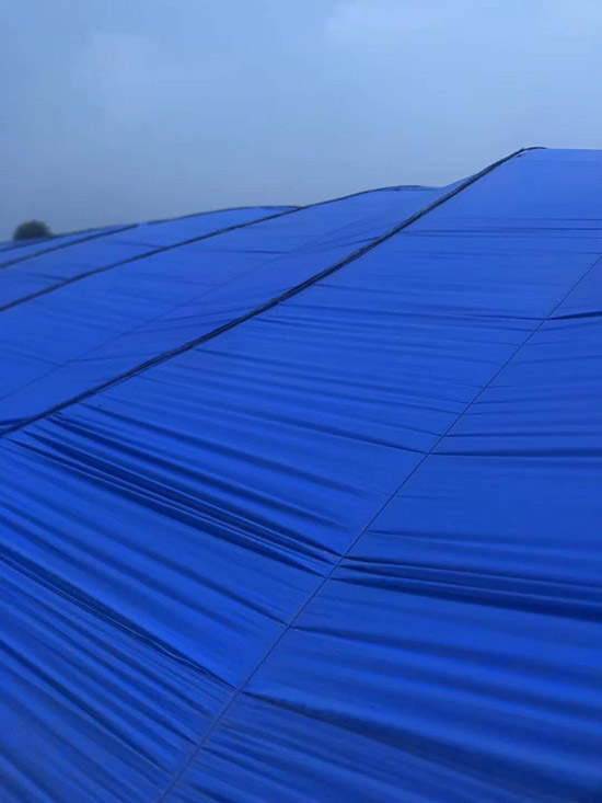     ����ý��؄�-�{(l��n)ɫ-�����S