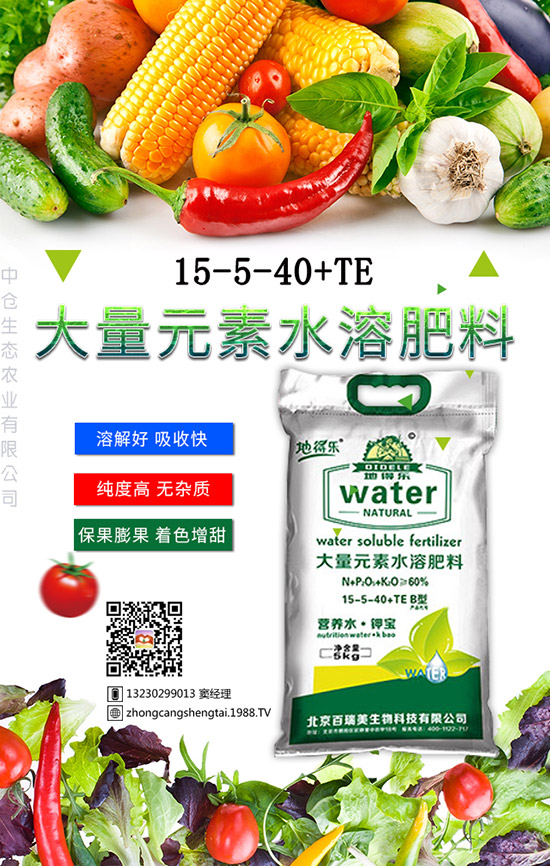 仙人球這樣養(yǎng)才不會死！金琥繁殖及栽培養(yǎng)殖管理！