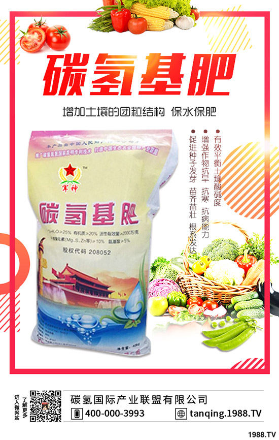 茶花盆景如何施肥，茶花盆景的施肥技巧有哪些