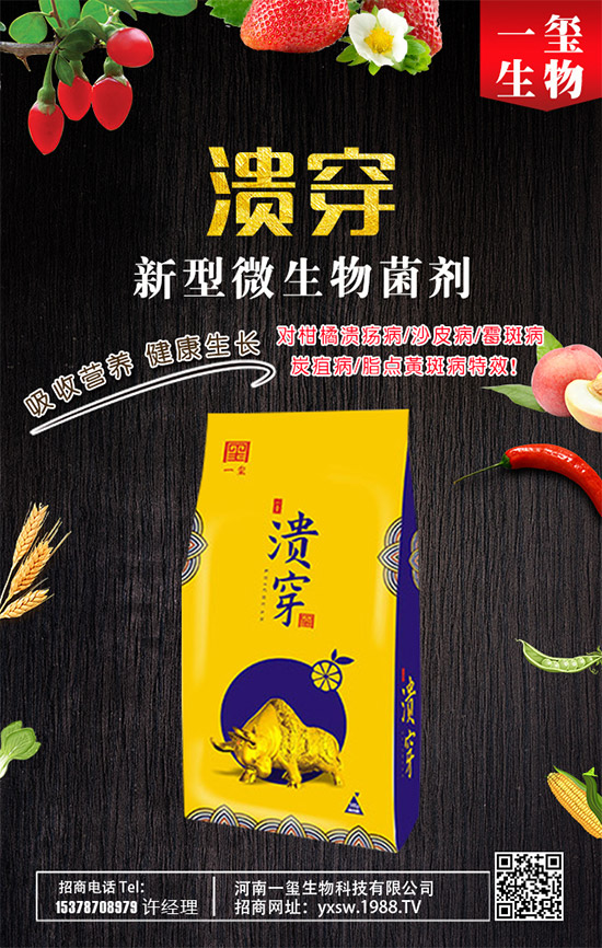 爬山虎的繁殖方法，爬山虎如何養(yǎng)護(hù)？