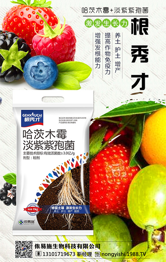 �������x���������z��ʩ�ٺ�1988.TV�����󌍬F(xi��n)�v�w����