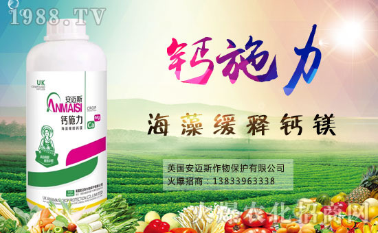 ���~˹���ﺞ�s���r���W�����_�W�j������������