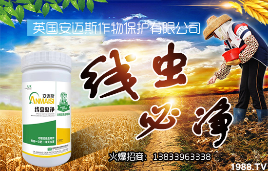 ���~˹���ﺞ�s���r���W�����_�W�j������������