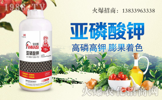 ���~˹���ﺞ�s���r���W�����_�W�j������������