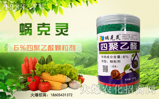 ��¡�r(n��ng)�I(y��)�m(x��)�s1988.TV���y�ֹ���(chu��ng)���x����