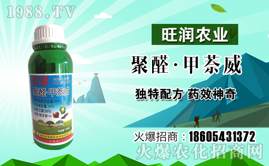 ��¡�r(n��ng)�I(y��)�m(x��)�s1988.TV���y�ֹ���(chu��ng)���x����