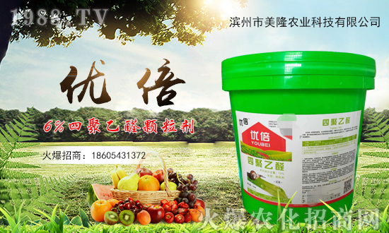 ��¡�r(n��ng)�I(y��)�m(x��)�s1988.TV���y�ֹ���(chu��ng)���x����