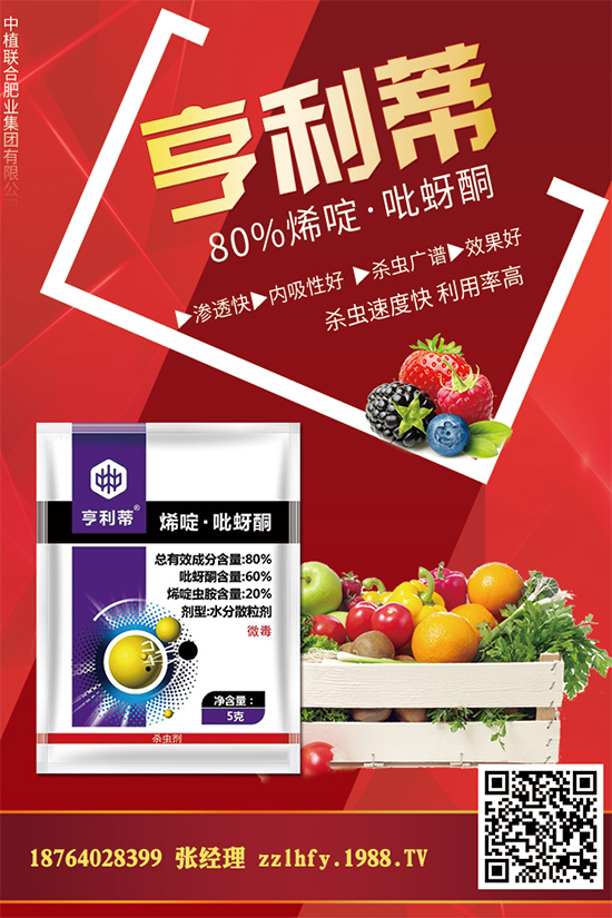 ��ֲ(li��n)�ϷʘI(y��)�ٶȔy��1988.TV���y�ִ����������E��