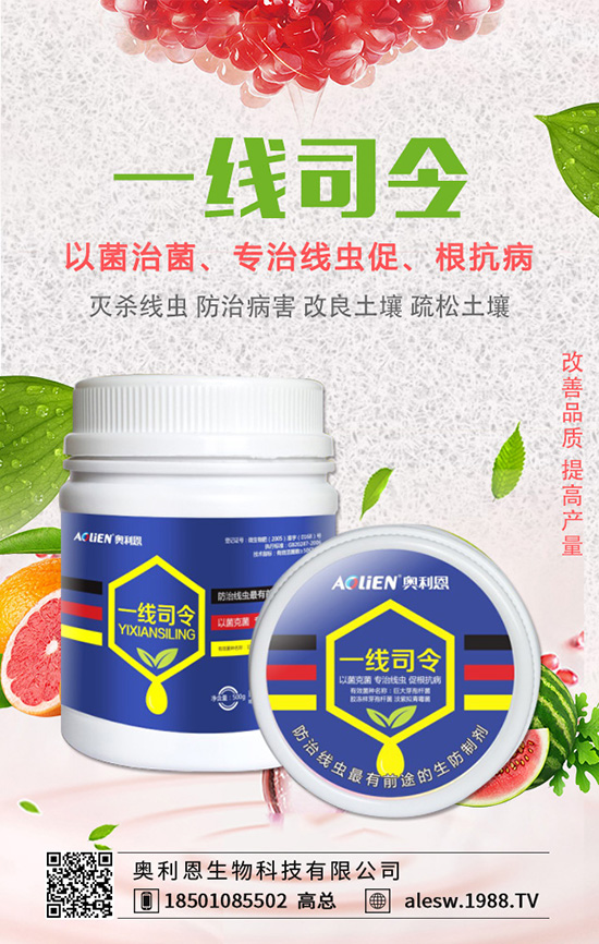 豌豆基腐病有什么危害？豌豆基腐病的發(fā)生規(guī)律及防治！