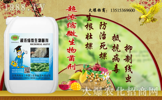 ��������(j��)���������A����ɫ�к����ٺ�1988.TV�ل�(chu��ng)���x����