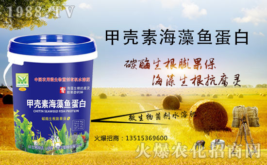 ��������(j��)���������A����ɫ�к����ٺ�1988.TV�ل�(chu��ng)���x����