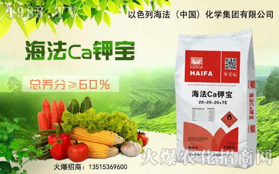 ��������(j��)���������A����ɫ�к����ٺ�1988.TV�ل�(chu��ng)���x�ͣ�