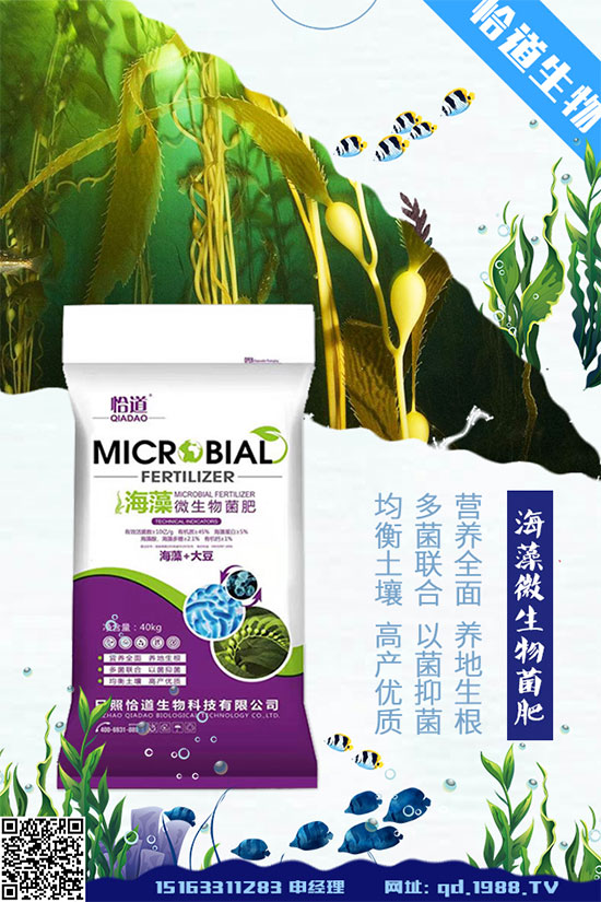 花生什么時間種植？花生高產(chǎn)種植方法！