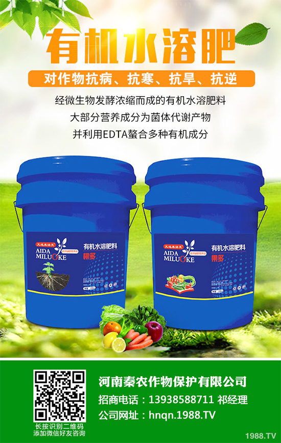 山楂什么時候種植？山楂樹高產(chǎn)種植方案