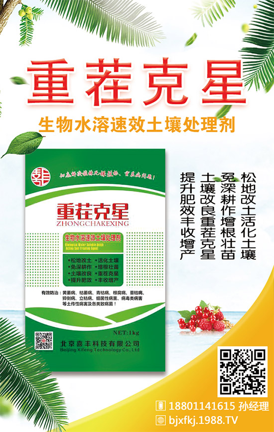 �������x���^�m(x��)�����r(n��ng)���W(w��ng)��ӭϲ�S�Ƽ����v��