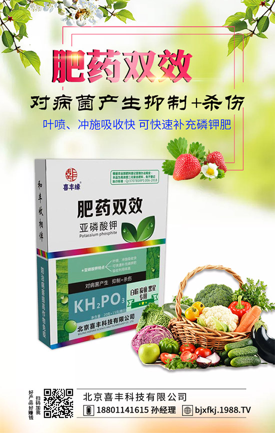 �������x���^�m(x��)�����r(n��ng)���W(w��ng)��ӭϲ�S�Ƽ����v��