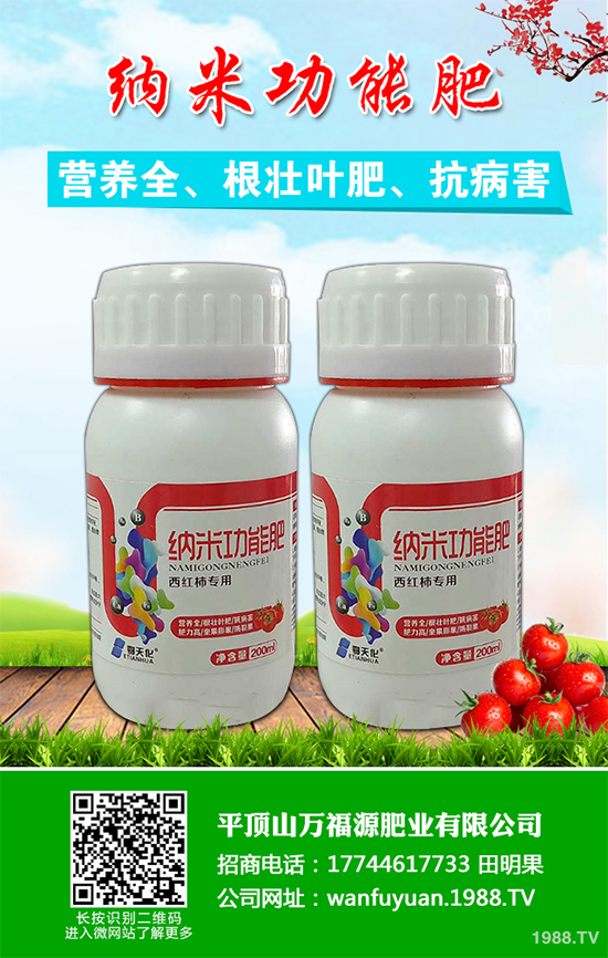 水蜜桃該如何種植？五步教你輕松種出肉厚多汁水蜜桃！